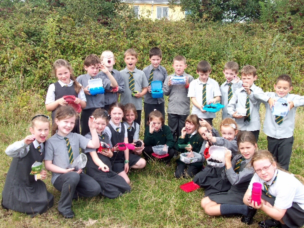 photo of second class picking blackberries